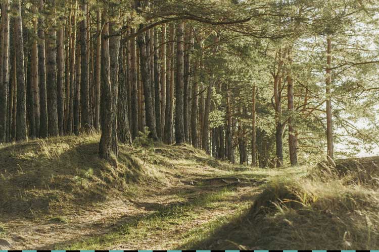 REMBE® come datore di lavoro.